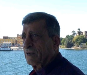 محمد الخولى, 74 года, القاهرة