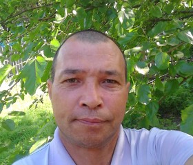 Vlad Movu, 55, Iasi