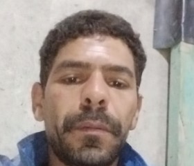 احمد, 35, Cairo