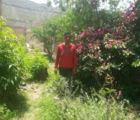 محمد عبد الحميد , 23, Bayt al Faqih