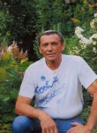 Владимир, 70 лет, Пушкино