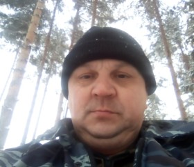 Владимир, 53 года, Воткинск
