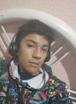 Daniel, 19 лет, San Jerónimo Cuatro Vientos