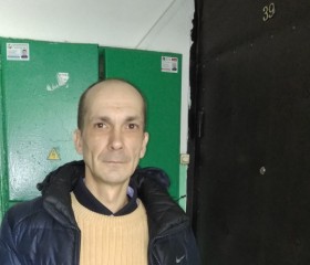Василий, 46 лет, Москва