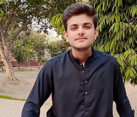 Harry, 20 лет, فیصل آباد