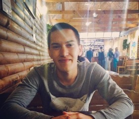 Александр, 25 лет, Димитровград