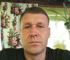 Александр, 43 года, Берасьце