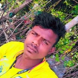 e787789422c4