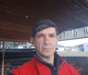 Михаил, 41 год, Toshkent