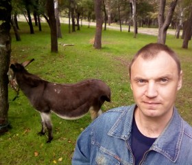 Олег, 41 год, Запоріжжя