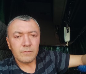 Алимжан Сабиров, 51 год, Tuszyn