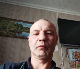 Александр, 47 лет, Щекино