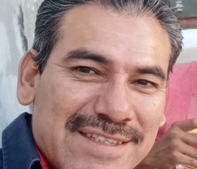 Miguel Gaspar, 55 лет, Santa Catarina