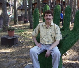 Анатолий, 76 лет, Белгород