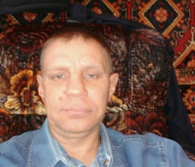 Евгений Елфимов, 53 года, Бийск