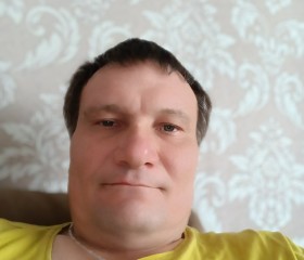 Алексей, 41 год, Ковернино