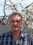 Leonid, 65, Pavlovsk (Leningrad)