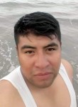 Felipe, 30 лет, México Distrito Federal