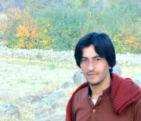 Raees, 26 лет, کابل