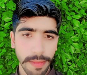Amir, 22 года, راولپنڈی