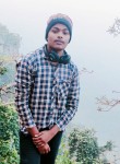 VISHAL, 19 лет, Dalsingh Sarai