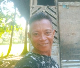 boylan maniego, 49 лет, Makati City