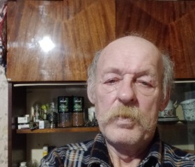 Сергей, 69 лет, Пудож