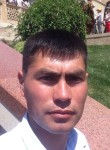 Shamsiddin, 37 лет, Toshkent