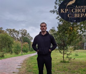 Антон, 30 лет, Вологда