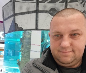 Alex, 43 года, Москва