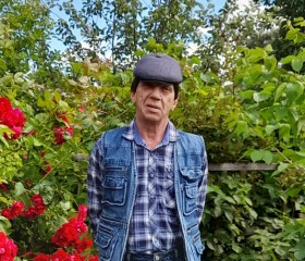Борис, 64 года, Печоры