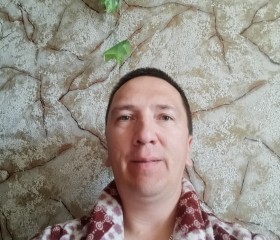 Антон, 48 лет, Сковородино