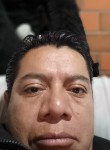 Gino Hernandez, 43 года, Puebla de Zaragoza