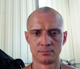Казачек, 36 лет, Віцебск