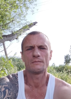 Алексей, 42, Россия, Гвардейское
