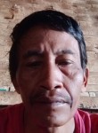 Alirohman, 49 лет, Kabupaten Malang