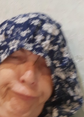 Лиса, 82, Россия, Шарья