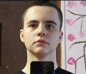 Кирилл, 18 лет, Липецк