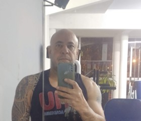 Paulo, 52 года, Região de Campinas (São Paulo)