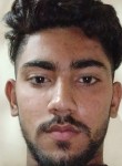 Dinesh saini, 19 лет, New Delhi