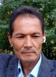 Дамир, 56 лет, Бишкек