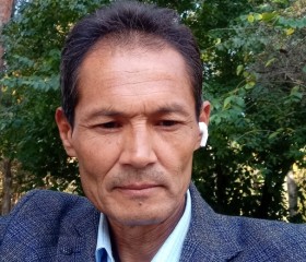 Дамир, 56 лет, Бишкек