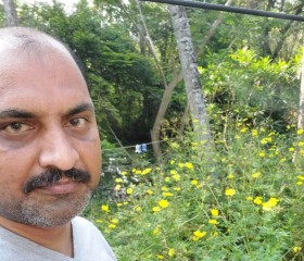Kishore, 45 лет, Thiruvananthapuram