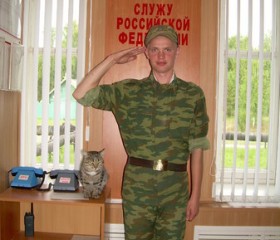 Антон, 37 лет, Йошкар-Ола
