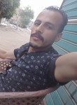 محمد, 28 лет, الجيزة