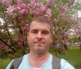 Павел, 44 года, Санкт-Петербург