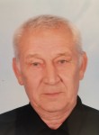 Николай, 71 год, Тула