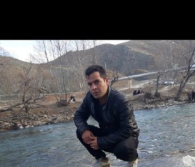 Amir, 36 лет, نجف آباد