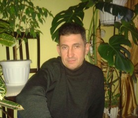 Колян Запара, 49 лет, Tallinn