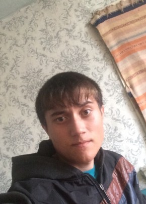 Misha, 24, Россия, Павловск (Алтайский край)